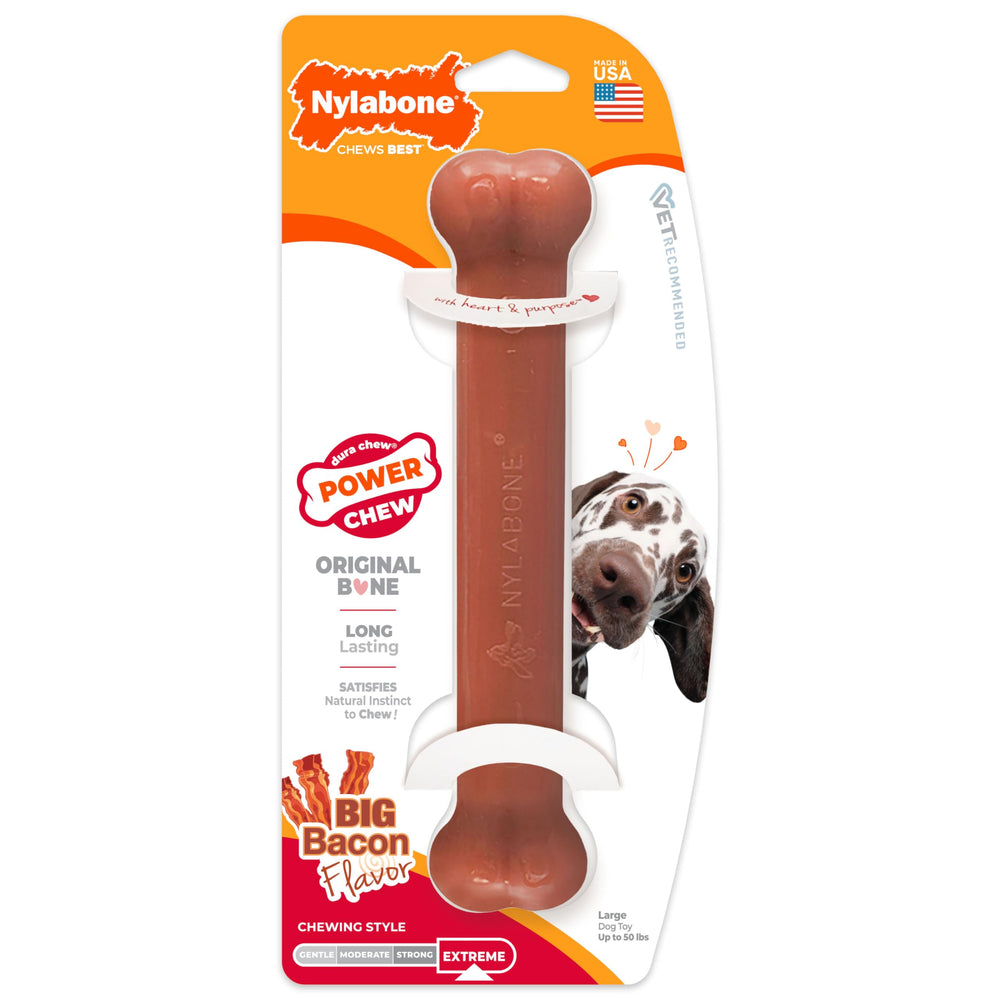 Nylabone os posé sur sol montre robustesse et usage quotidien