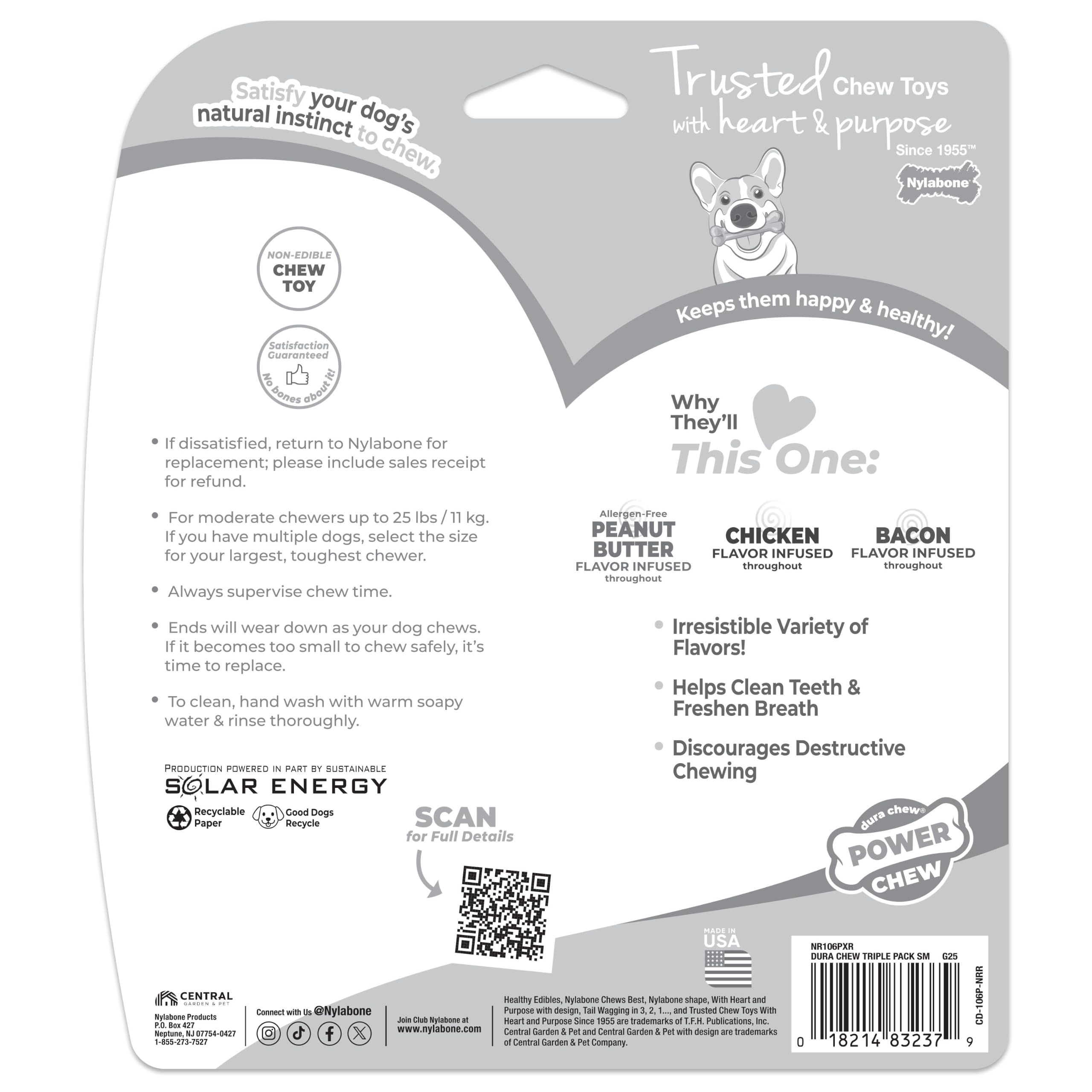 Surface infusée de parfum Nylabone visible pour attraction durable du chien