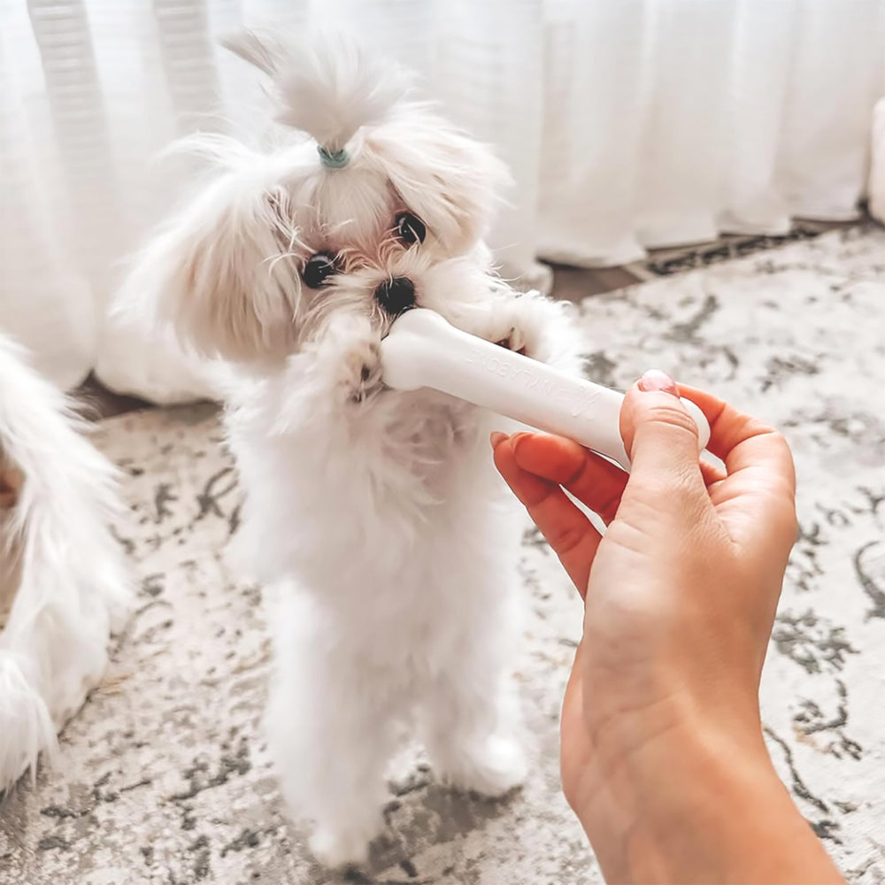 Nylabone gros plan sur texture de l'os souple, soulage la gencive