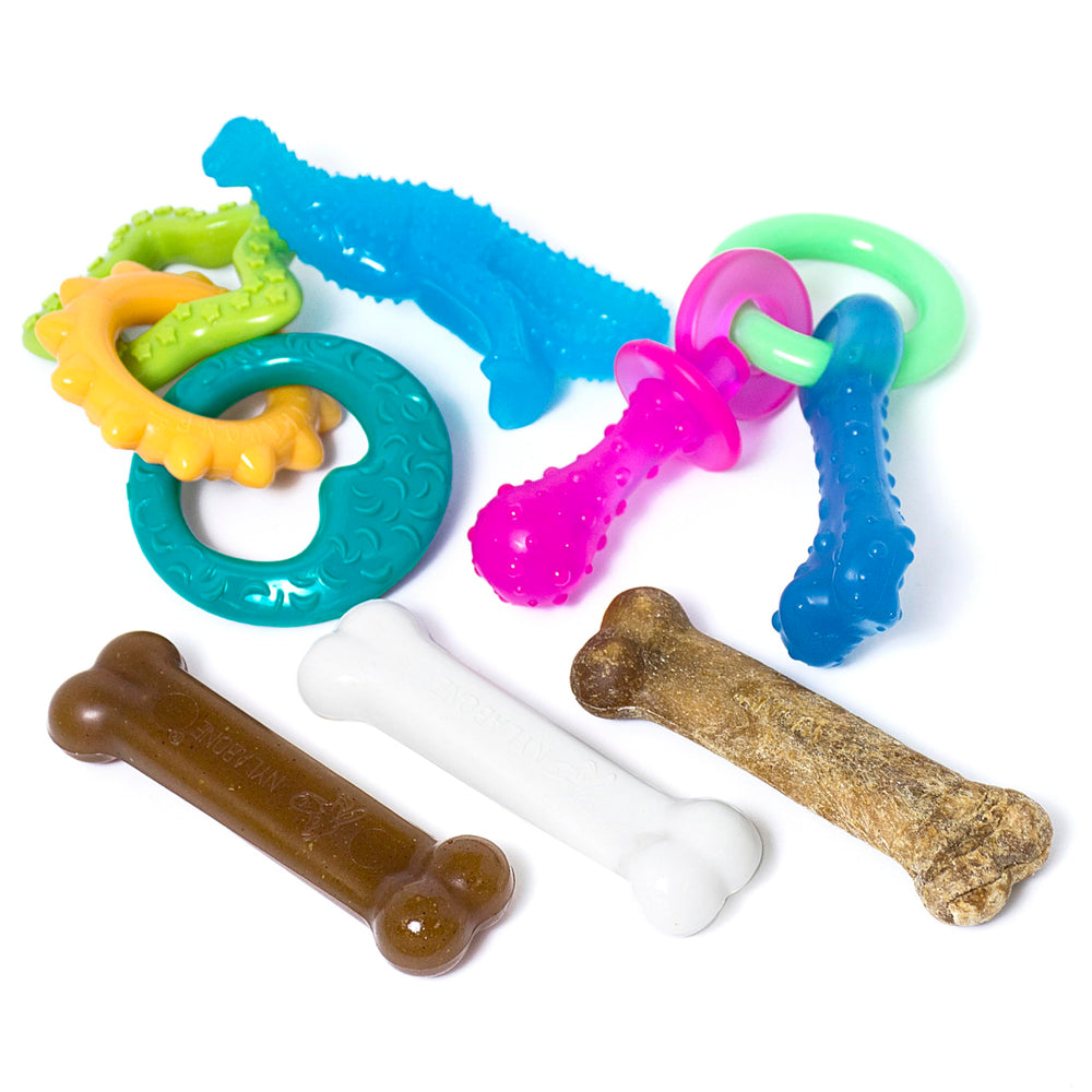 Nylabone face avant emballage montrant contenu et bénéfice éducation