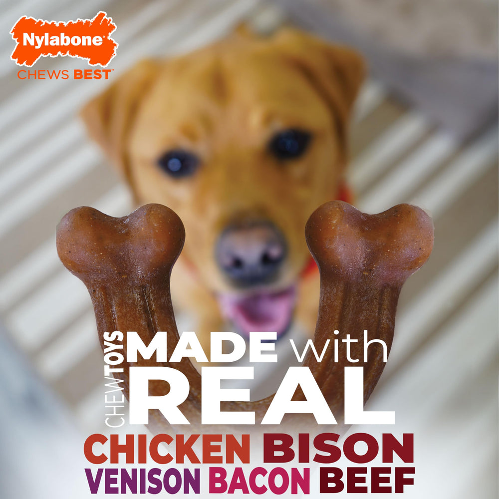 Nylabone packaging 4 pièces posés montrant toutes les formes incluses