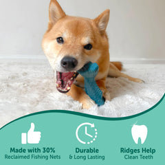 Nylabone jouet poisson en morsure pour chien illustrant durabilité