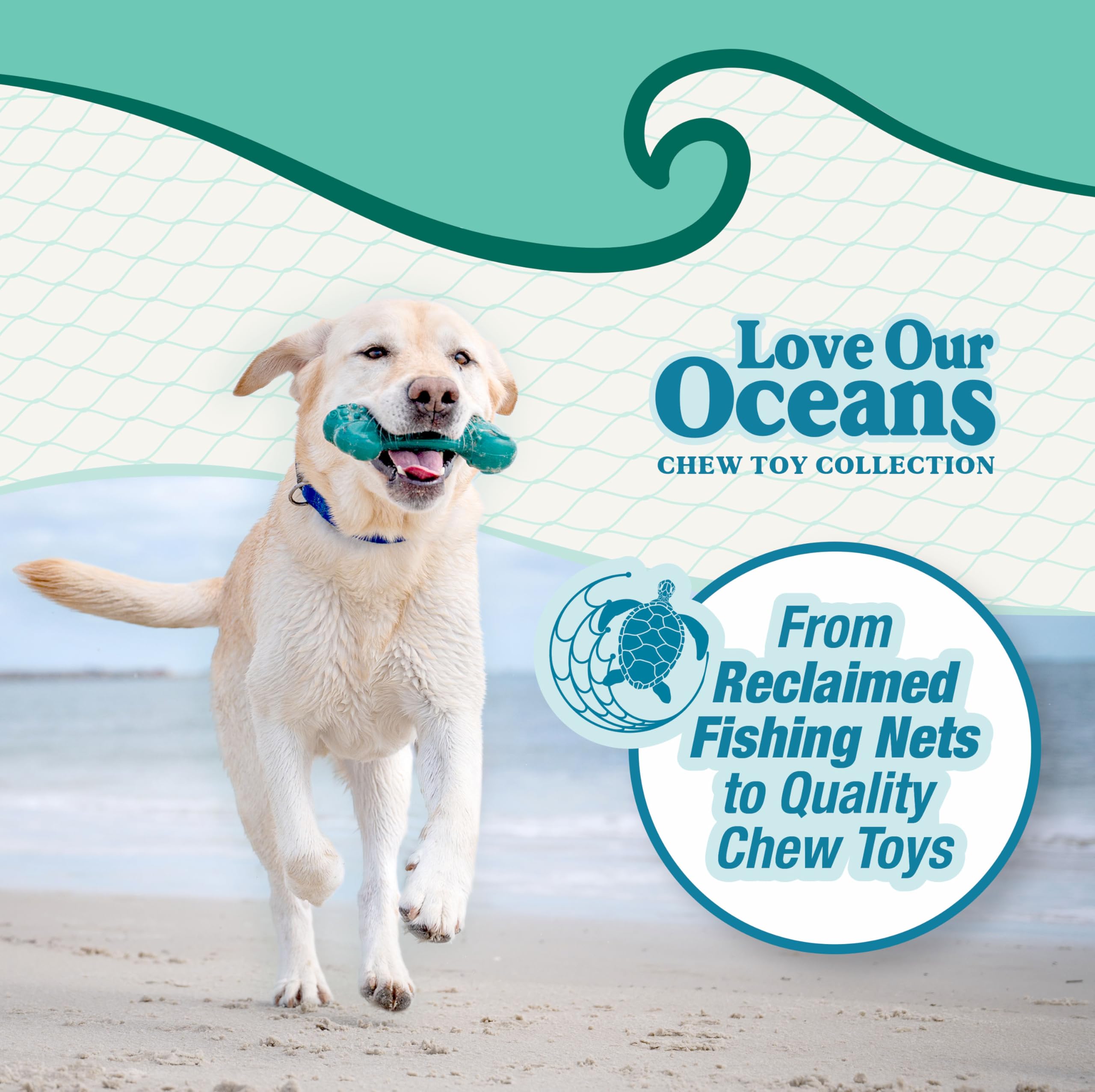 Nylabone gros plan sur la texture du poisson pour nettoyage dentaire