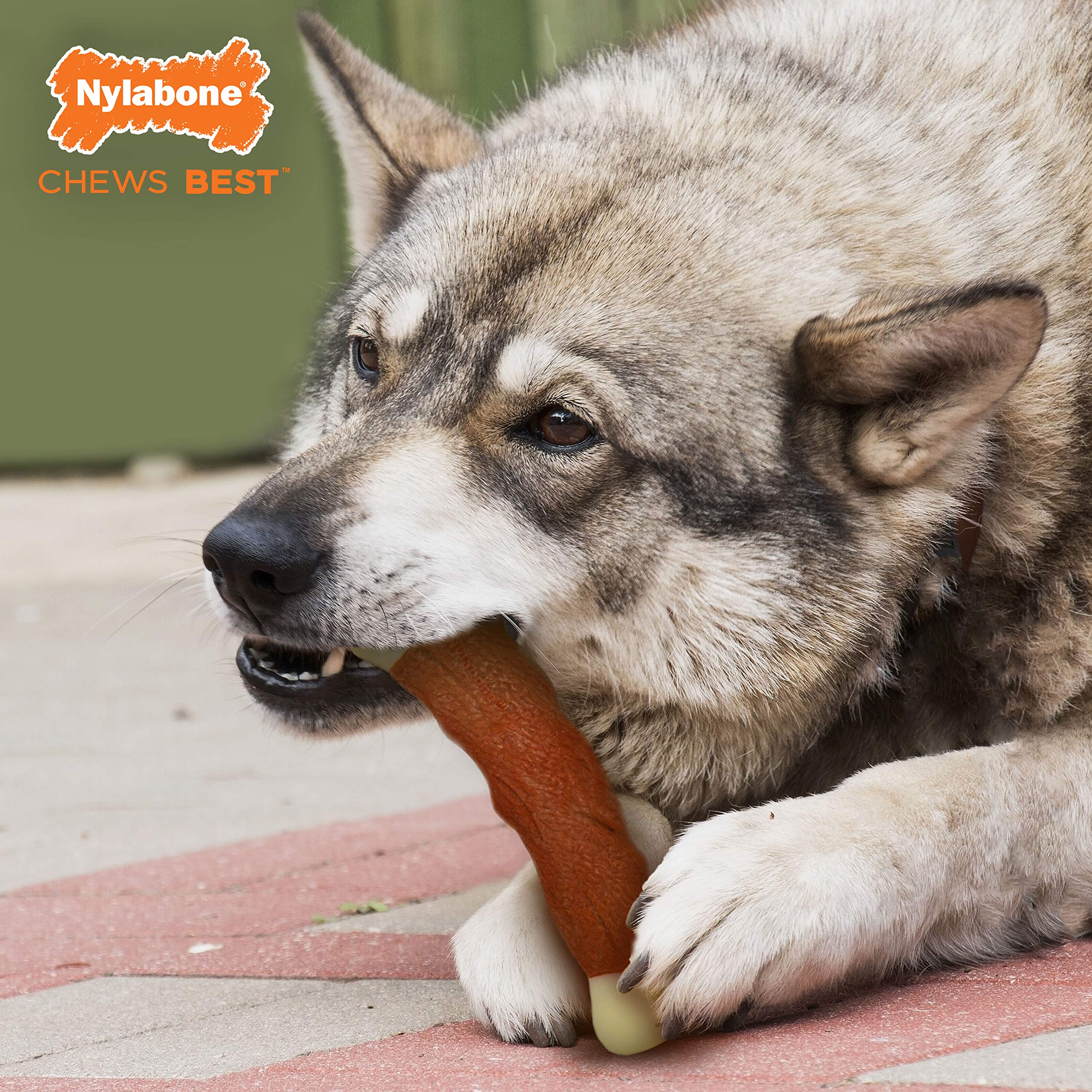 Nylabone Power Chew angle profil illustrant forme d'os sécurisée sans éclats