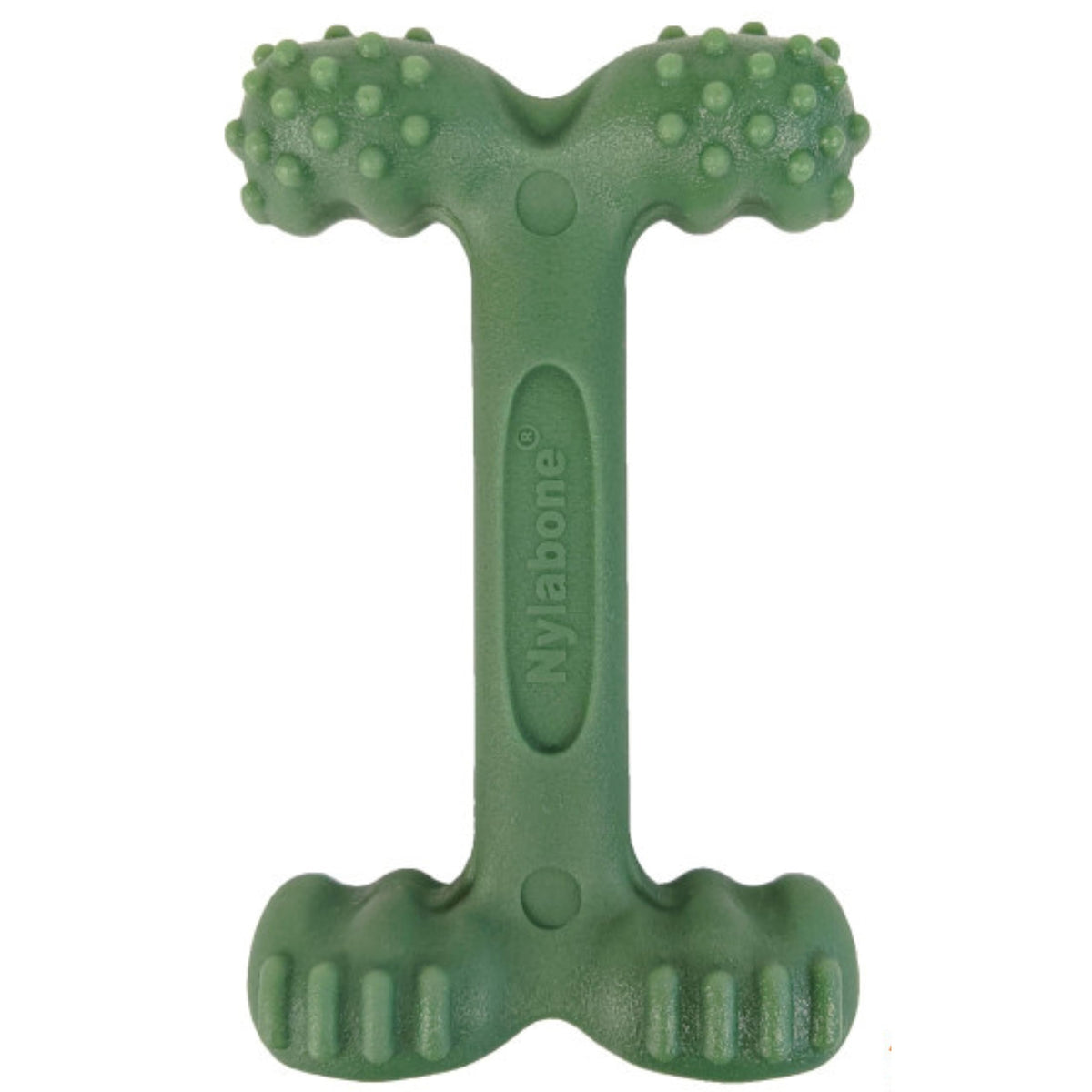 Nylabone vue avant du jouet durable pour mâcheurs puissants