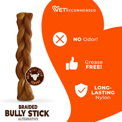 Nylabone texture gros plan en nylon robuste pour mastication prolongée