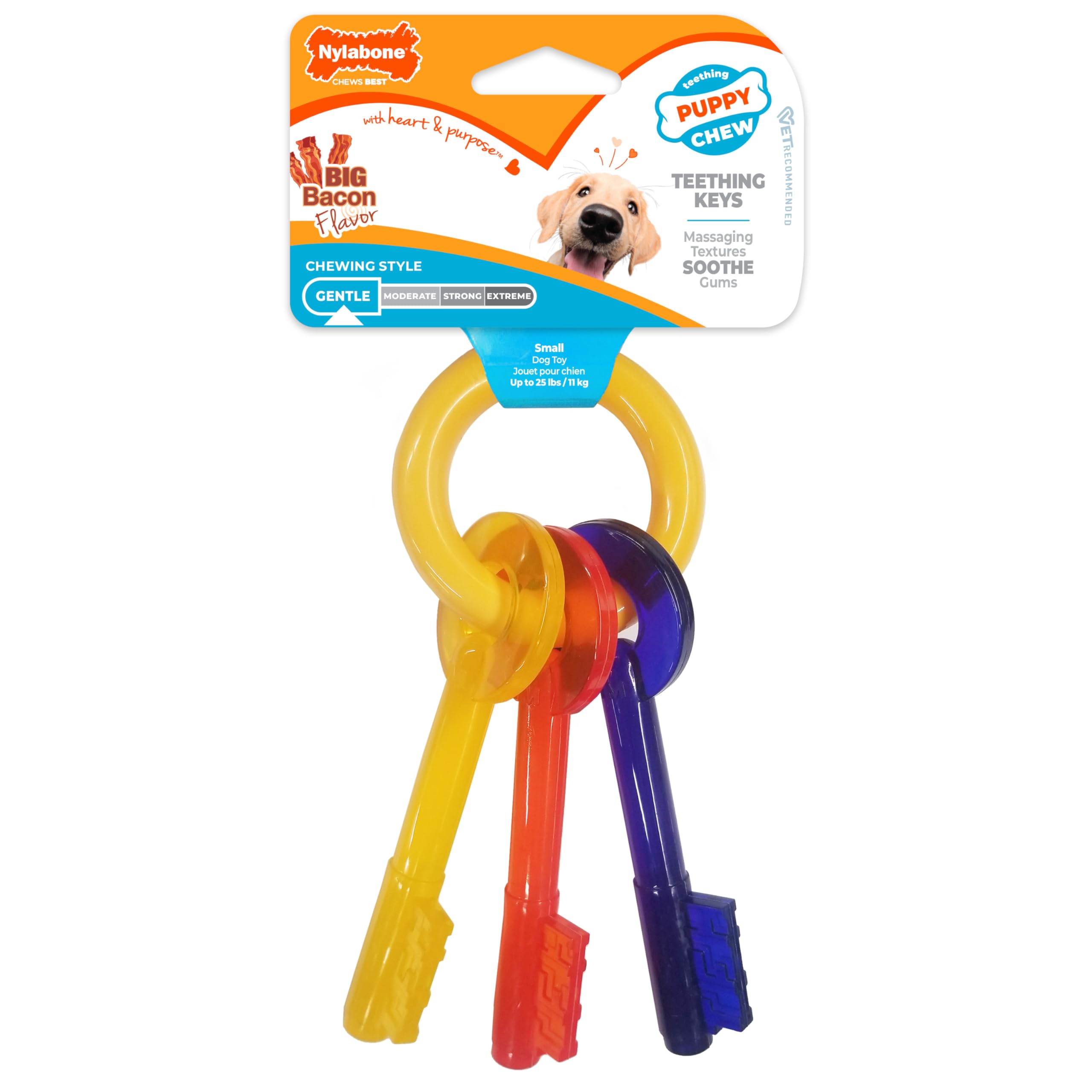 Nylabone anneau face montrant trois clés attrayantes pour soulager les gencives