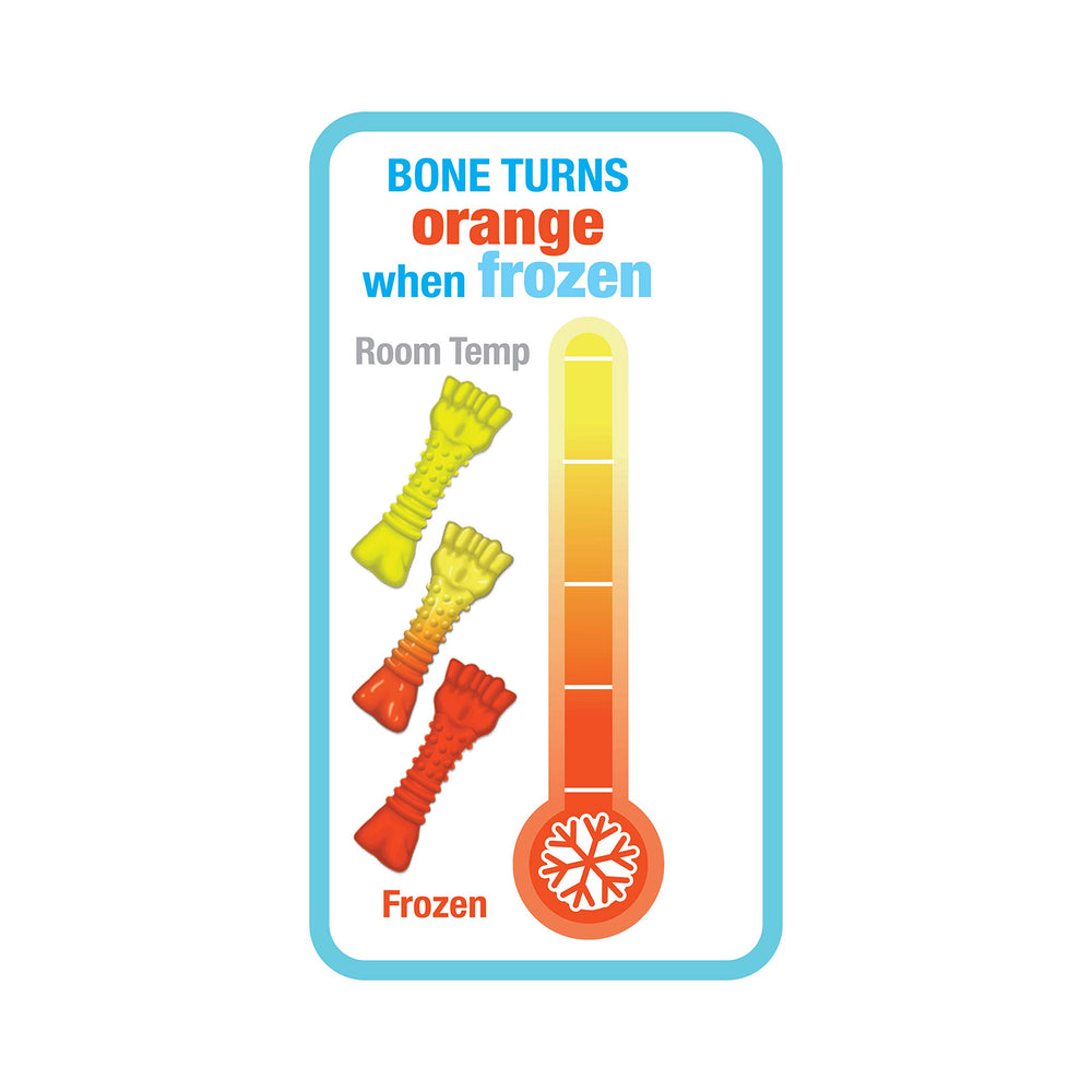 Nylabone comparaison taille avec main pour visualiser dimensions pratiques