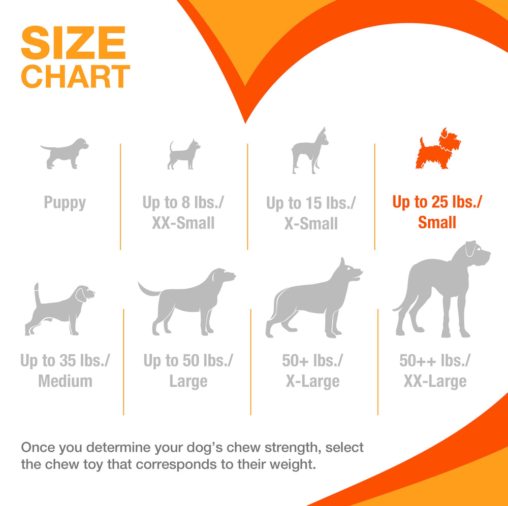 Nylabone chiot mâchant jouet pour soulager la dentition et jouer