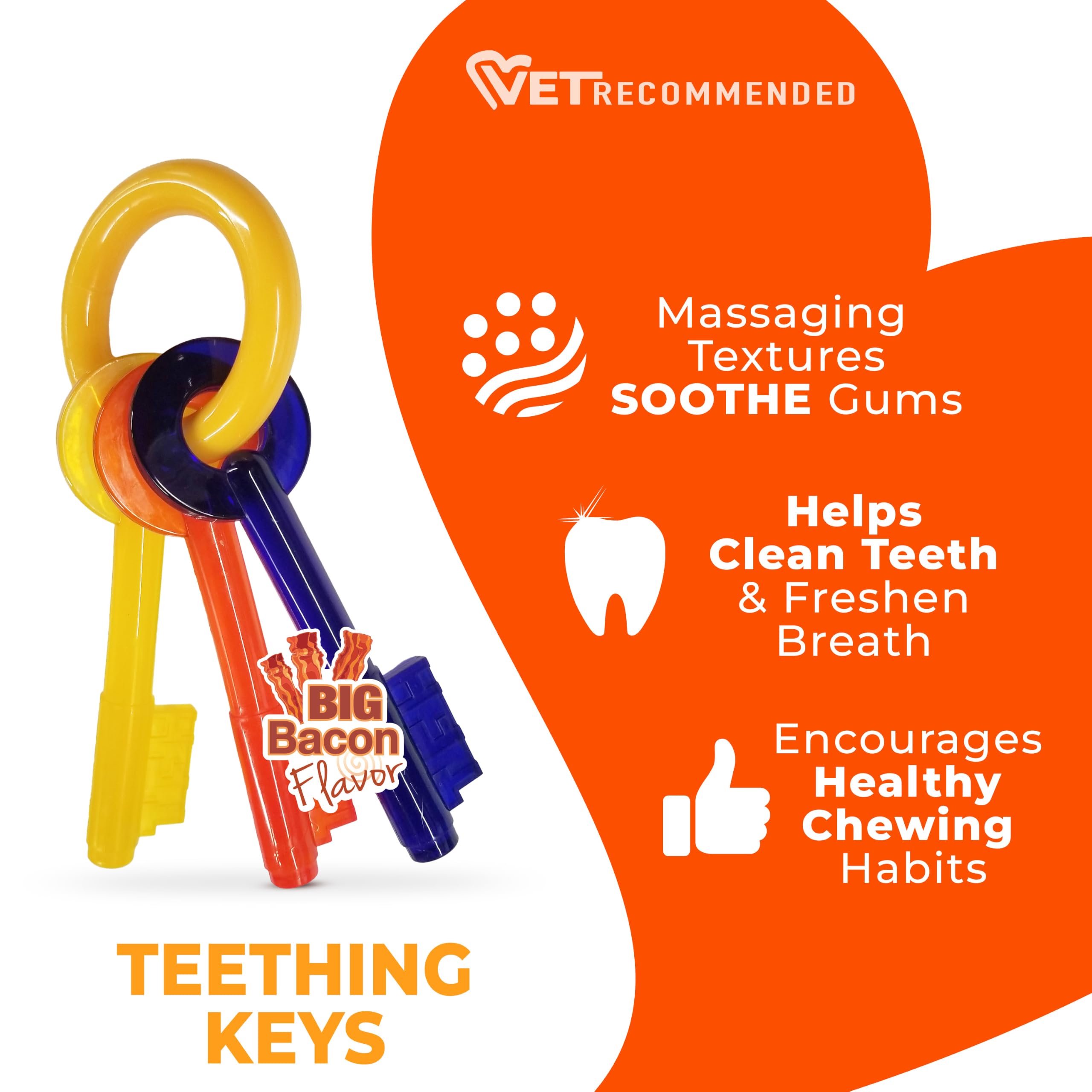 Nylabone scène salon chiot joue calmement encouragé vers bon comportement