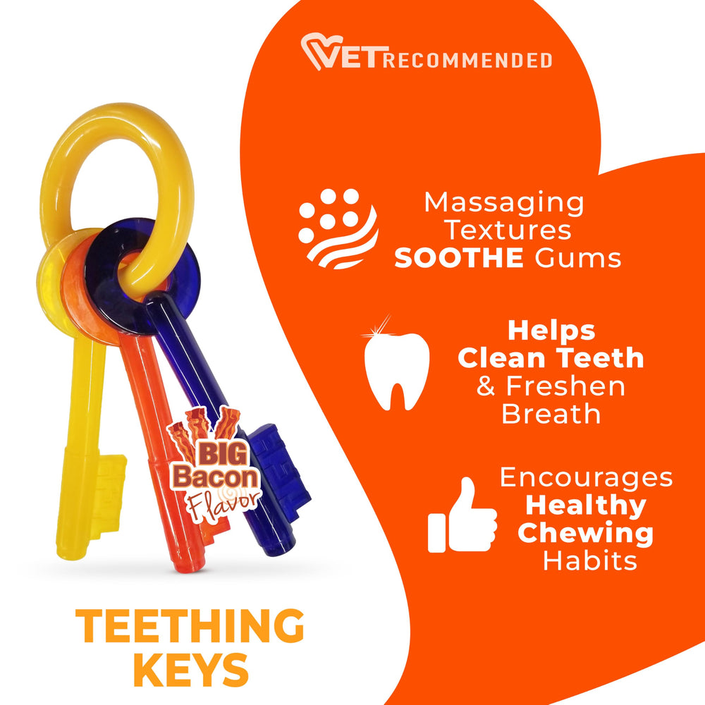 Nylabone scène salon chiot joue calmement encouragé vers bon comportement
