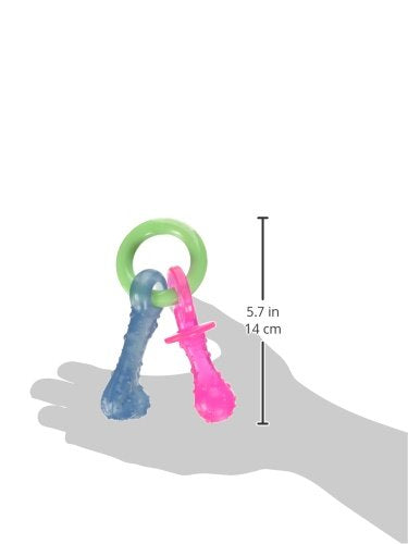 Gros plan Nylabone sur textures et nubs pour massage des gencives