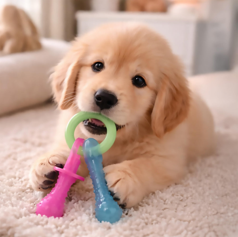 Nylabone pacifier vu de profil mettant en valeur l'anneau ergonomique