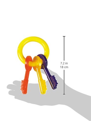 Nylabone détail de texture douce pour masser les gencives et nettoyer les dents