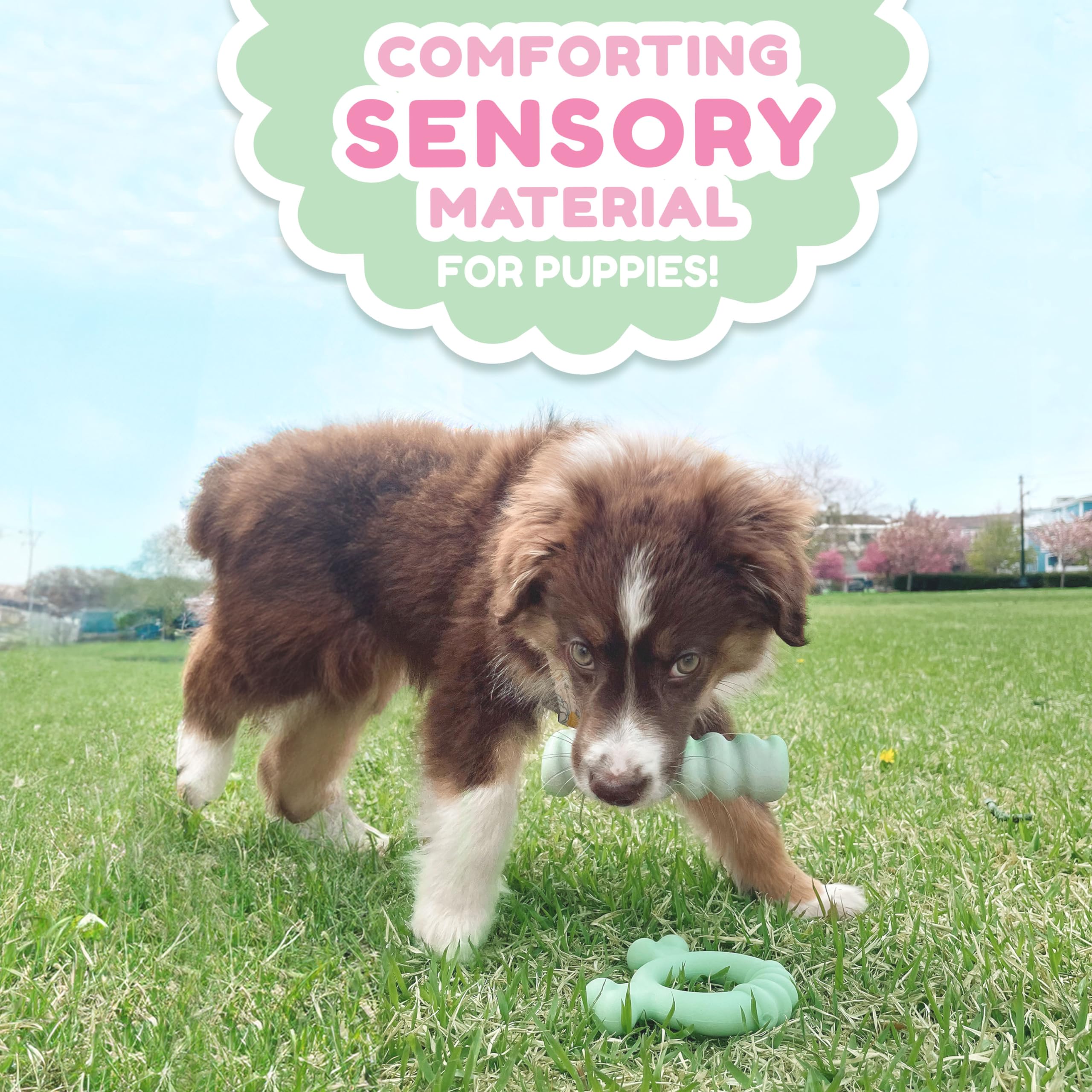 Nylabone comparaison de taille pour petits chiots jusqu’à 11 kg