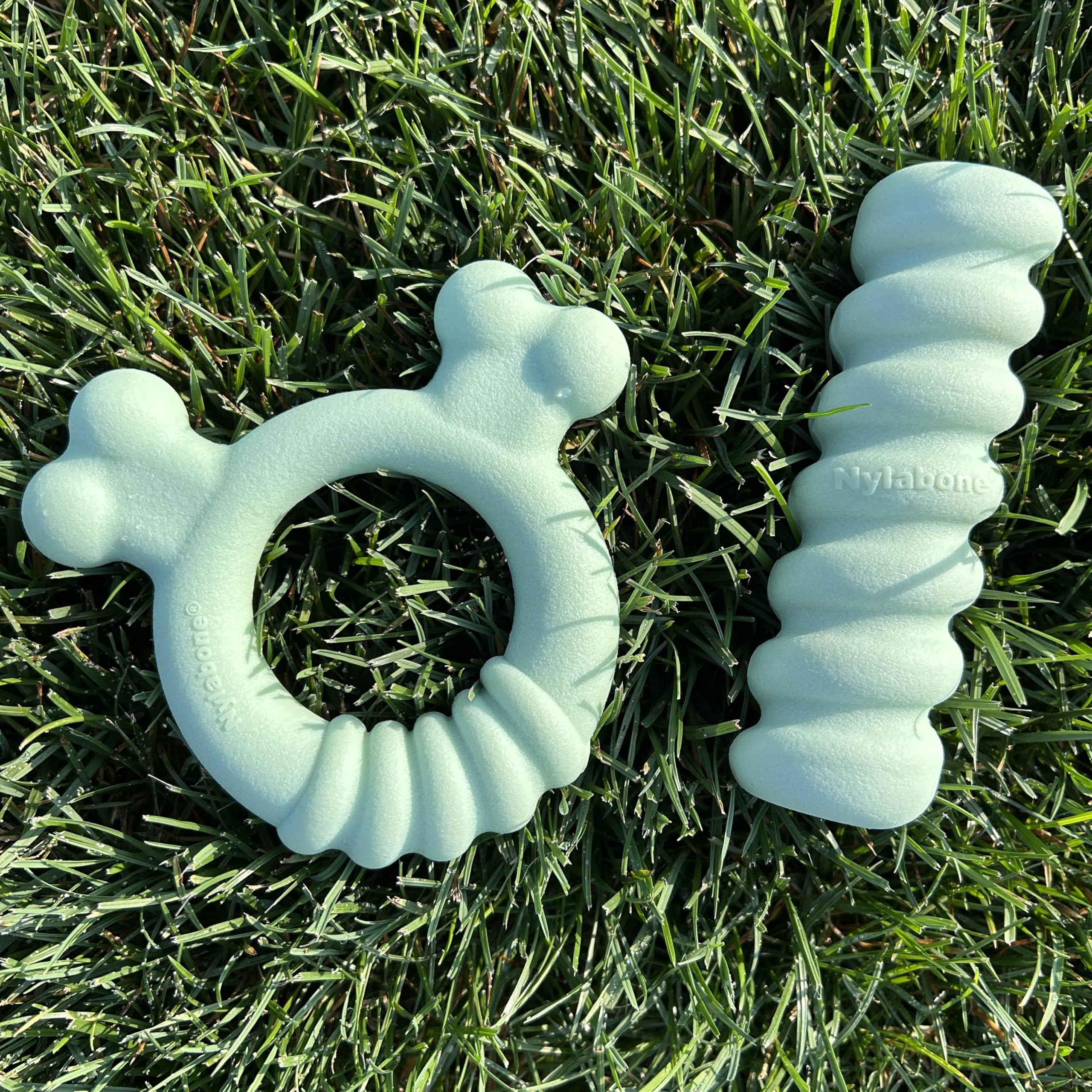 Nylabone nettoyage à l’eau illustré pour entretien et hygiène