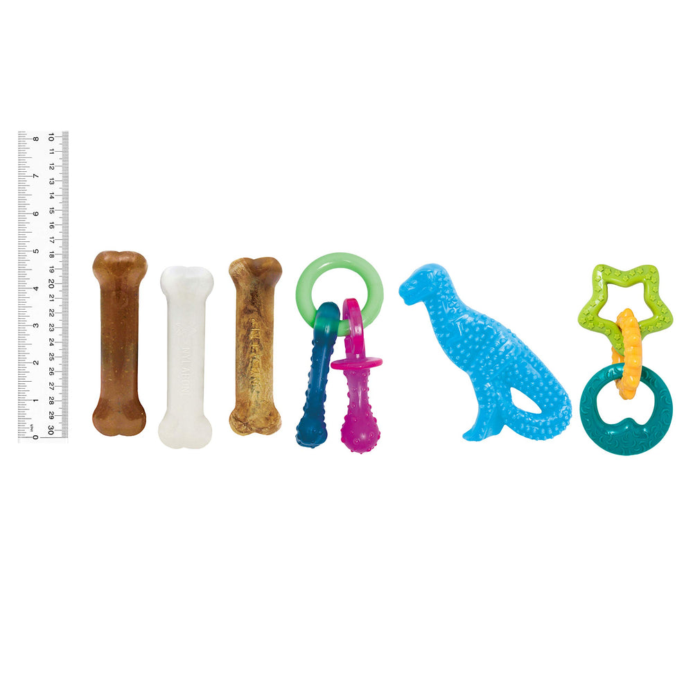 Nylabone comparaison taille main montre adéquation pour chiots