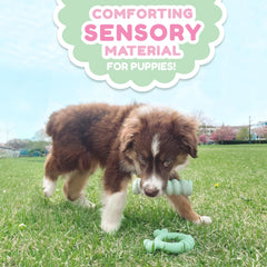 Nylabone gros plan tige avec grooves apaisants pour gencives