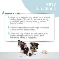 Nylabone tube de dentifrice affichant Denta-C pour aide contre la plaque