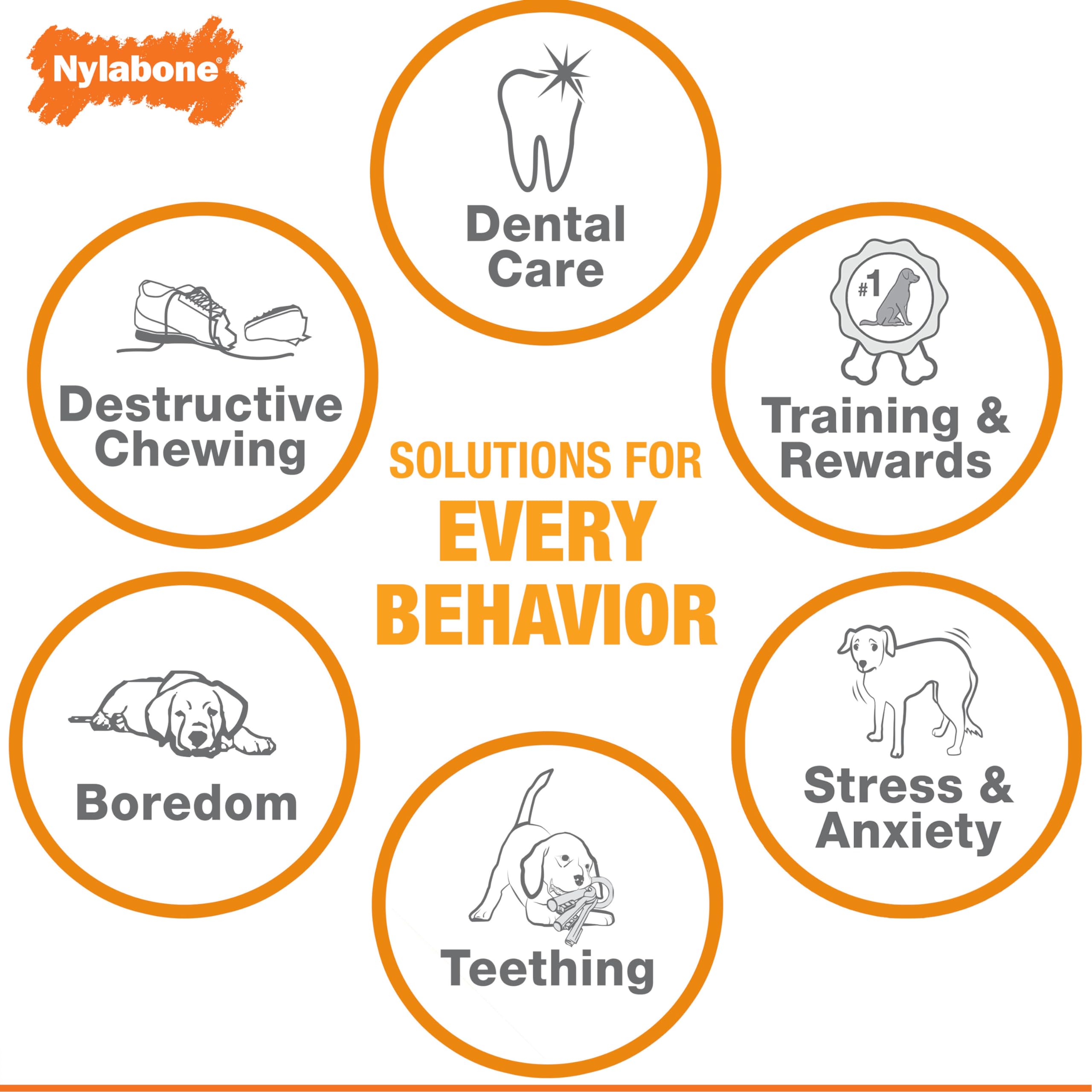 Nylabone scène de vie salon chiot heureux utilisant jouets en sécurité