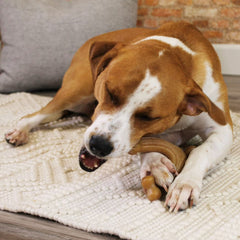 Nylabone vue angulaire de la forme wishbone offrant prise ergonomique