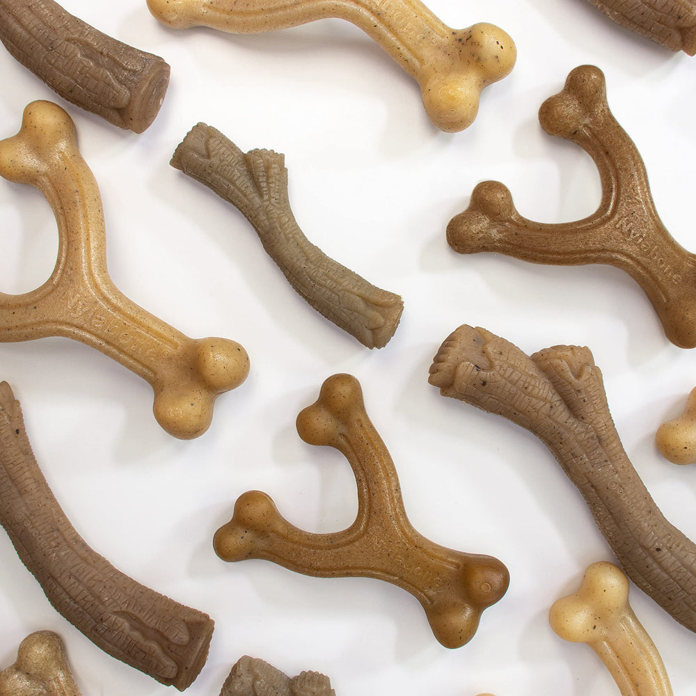 nylabone chiot mordillant le wishbone, favorise comportement de mastication sain