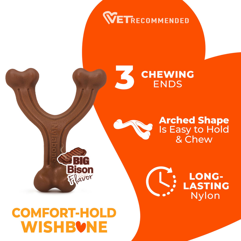 Nylabone chiot mordillant le wishbone, distraction et satisfaction
