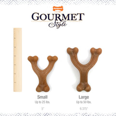 Nylabone chiot tenant le wishbone, favorise mastication longue et confortable