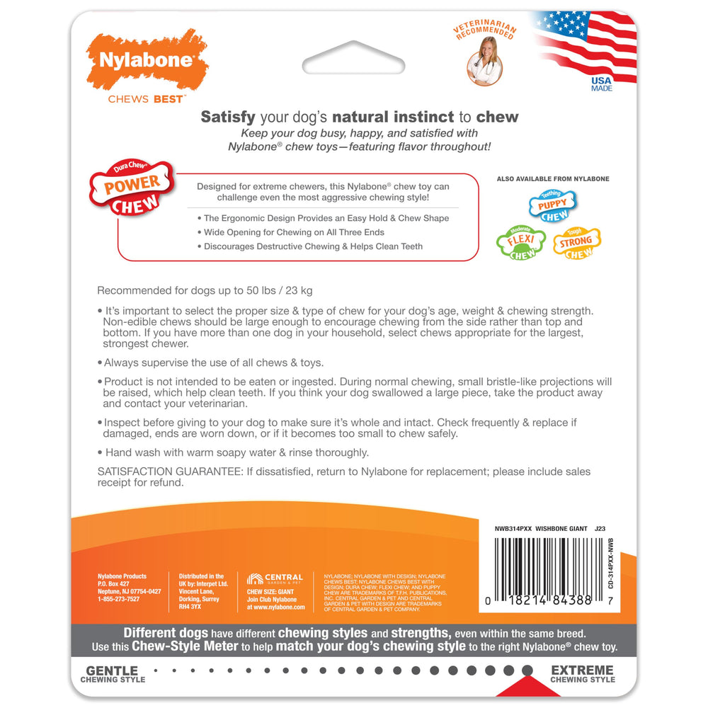 Nylabone comparaison montrant durabilité supérieure aux jouets classiques