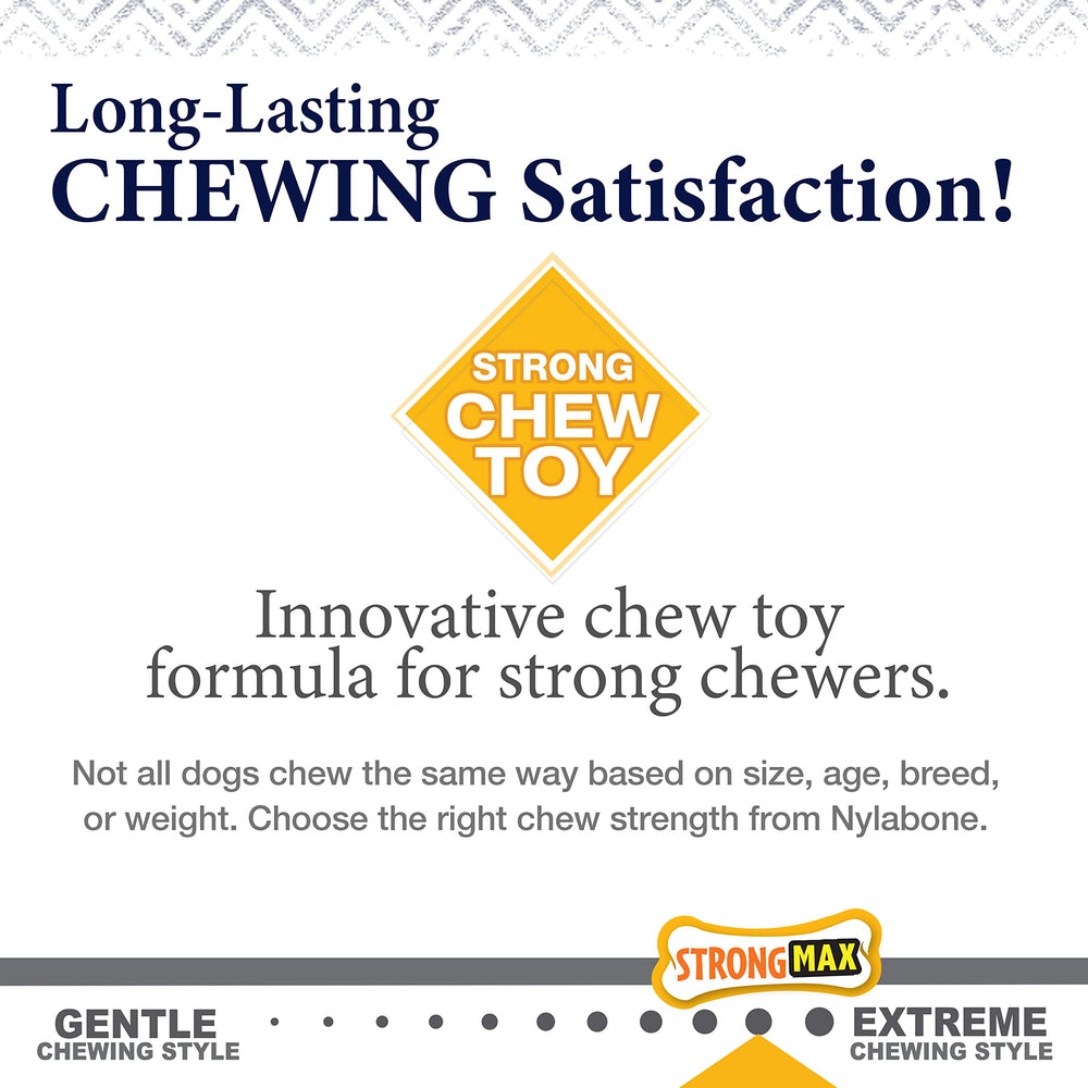 Nylabone comparaison taille avec main pour évaluer échelle et compatibilité