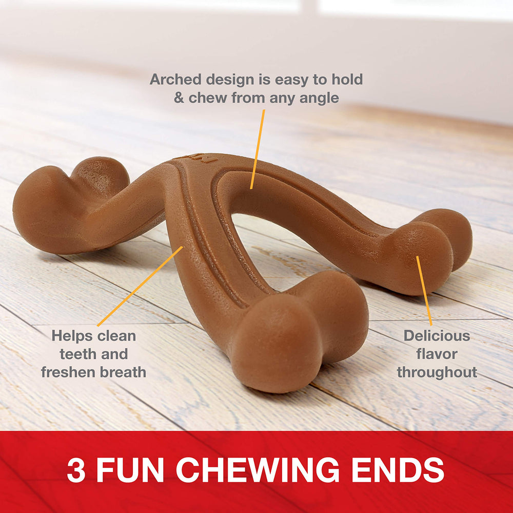 Nylabone détail d'une extrémité mordable, stimulation des dents