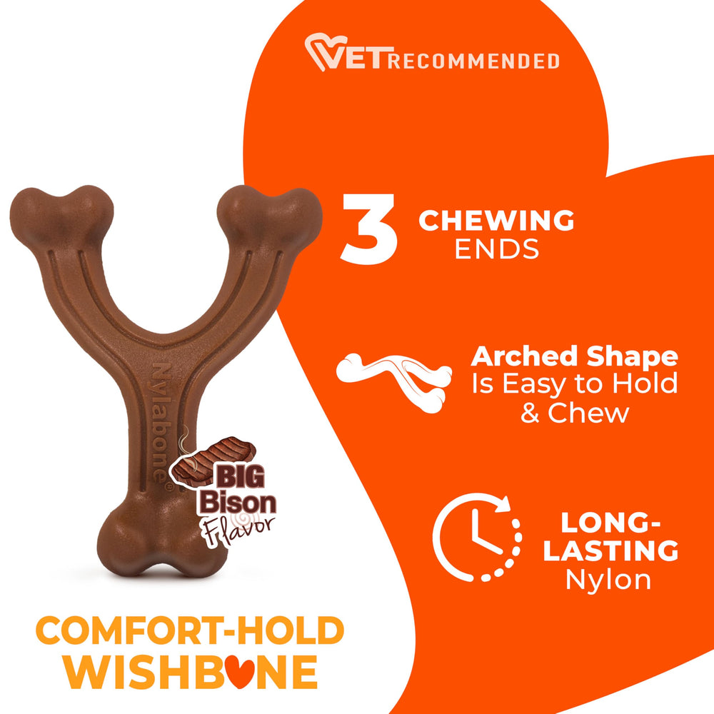Nylabone comparaison d'échelle avec une main pour taille et robustesse
