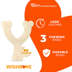 Nylabone chien mâchant le wishbone encourage mastication durable