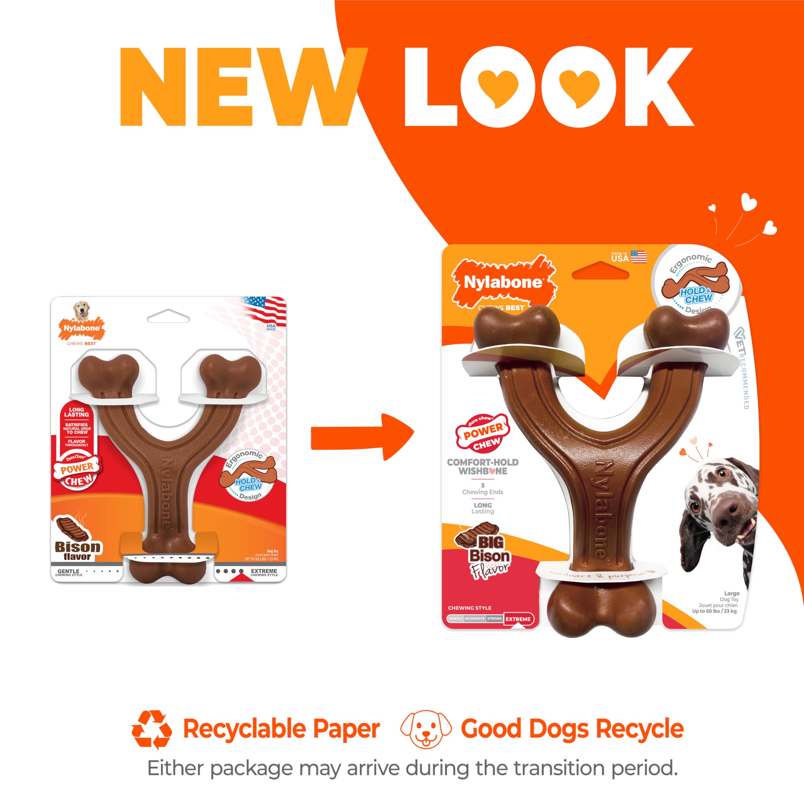 Nylabone chien tenant le wishbone et profitant d'une mastication sûre
