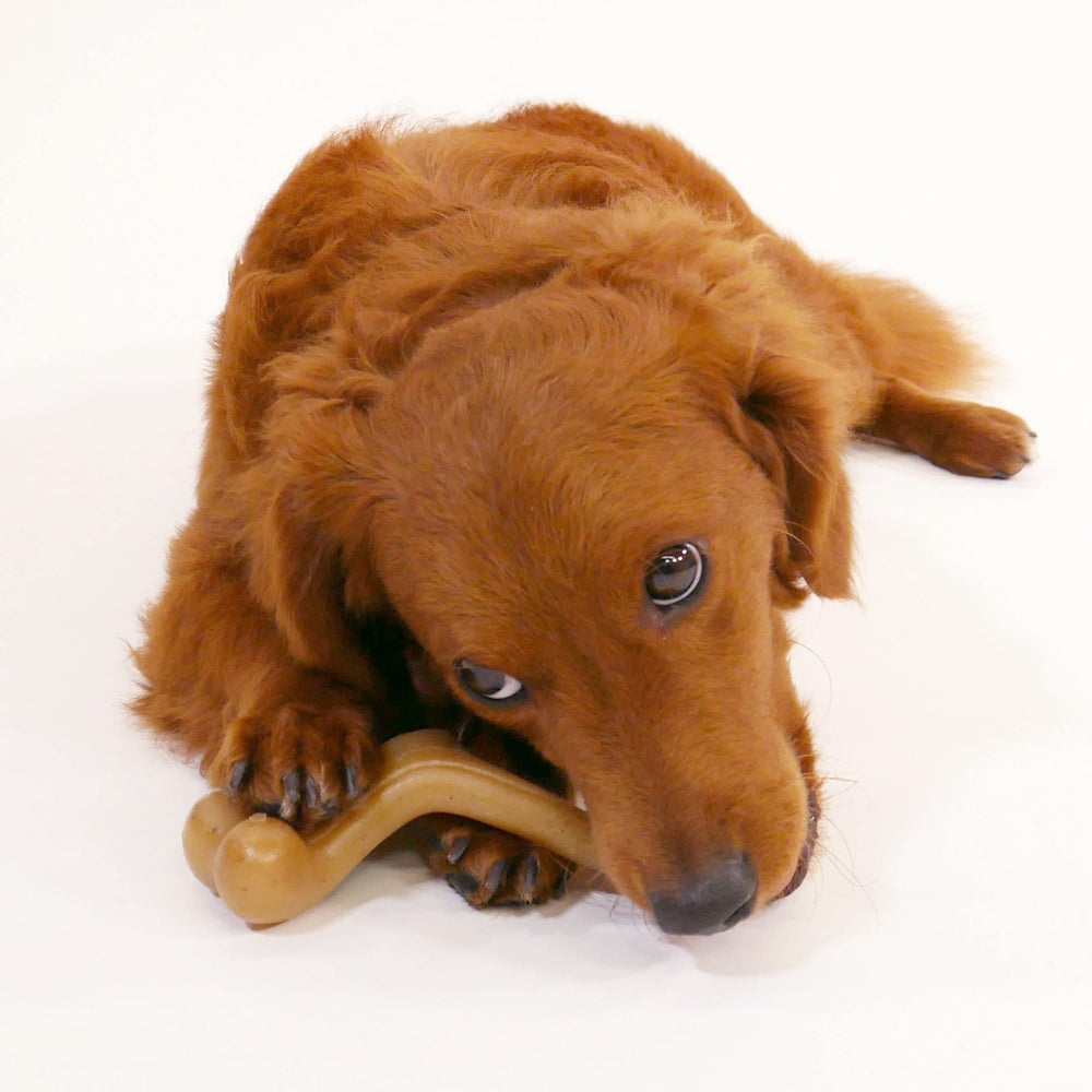 nylabone étiquette produit et informations, assure qualité et origine USA