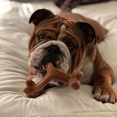 Nylabone gros plan du nylon montrant texture résistante pour mâcheurs