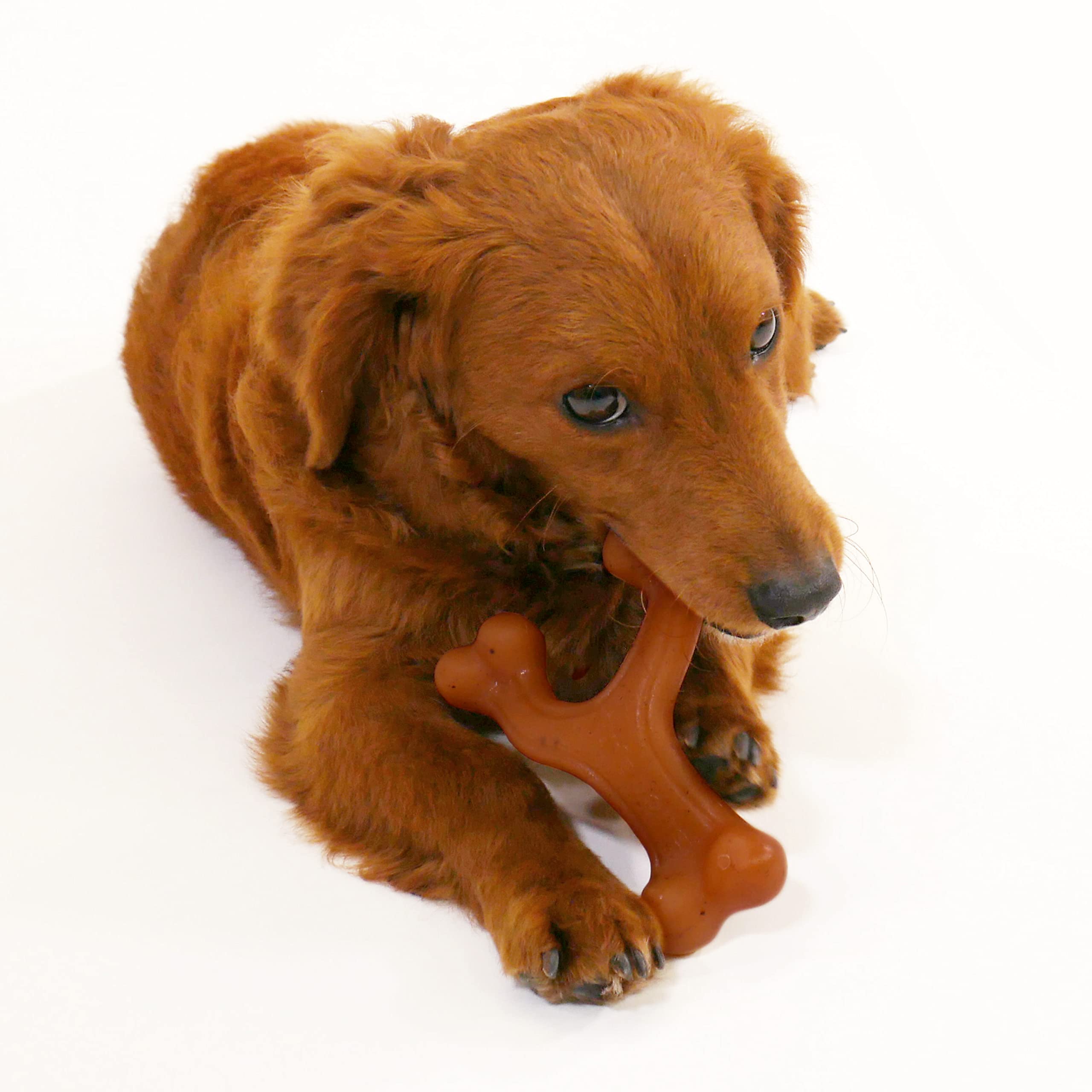 Nylabone gros plan des bits de saveur bacon intégrés, stimule l'intérêt du chien