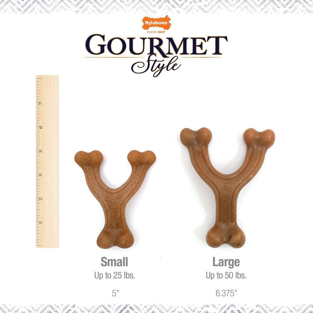 Nylabone détail texture montrant reliefs pour action nettoyante des dents