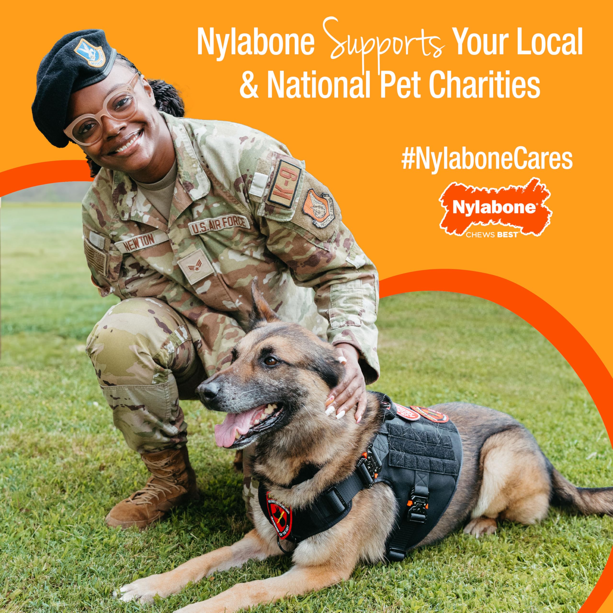 Nylabone zoom sur matériau souple montrant flexibilité sécurisée