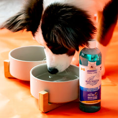 Nylabone gros plan étiquette Denta‑C montrant formule anti-plaque