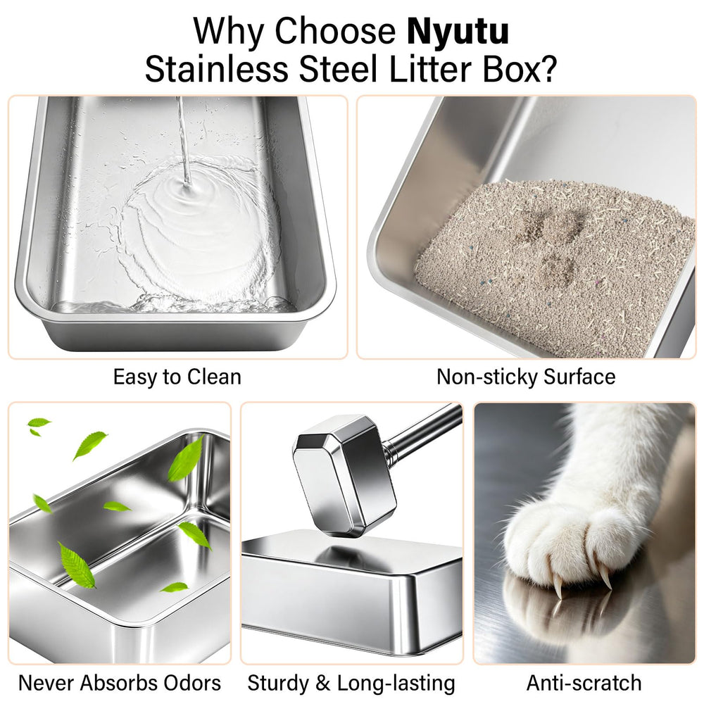 Nyutu en situation dans une cuisine propre montrant réduction des éclaboussures et hygiène