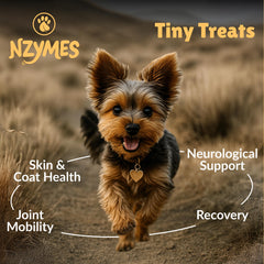 Nzymes pastilles gros plan pour voir la texture et faciliter l'administration