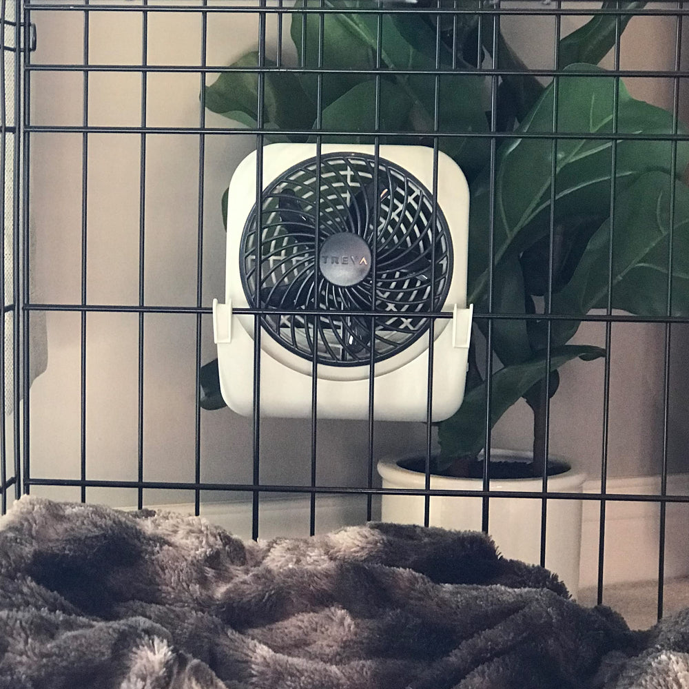O2COOL Treva emballage ouvert montrant le ventilateur et manuel