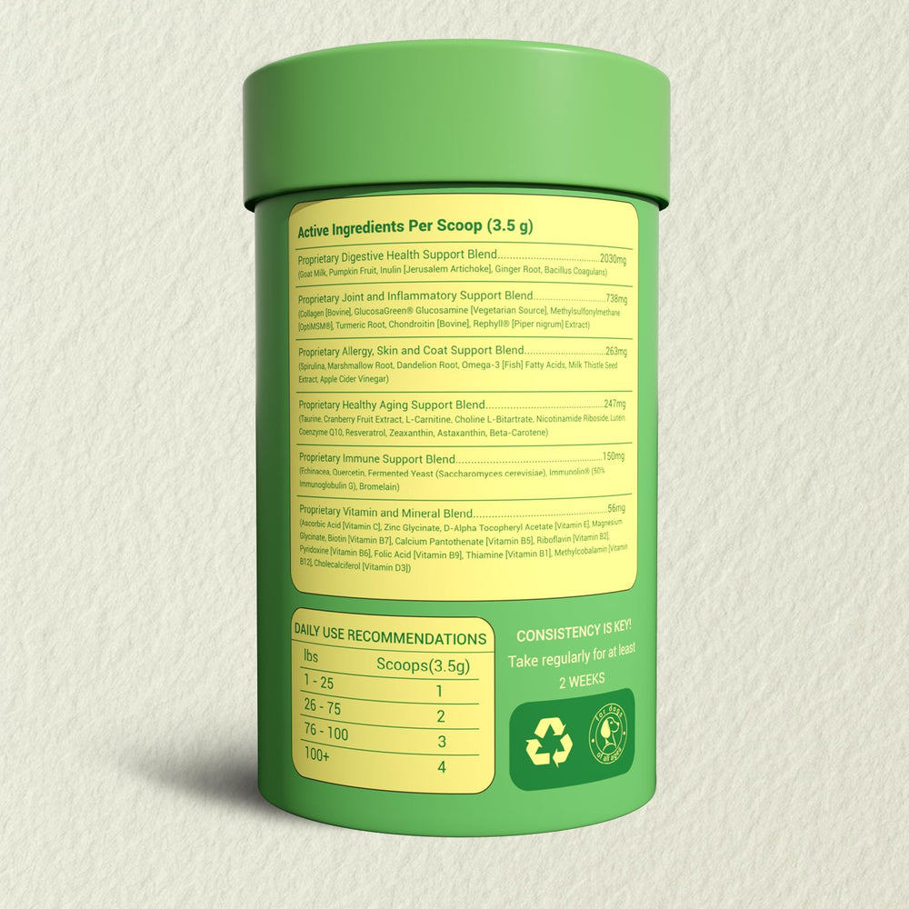 OailyMutra chien actif courant, illustrant soutien articulations et pelage