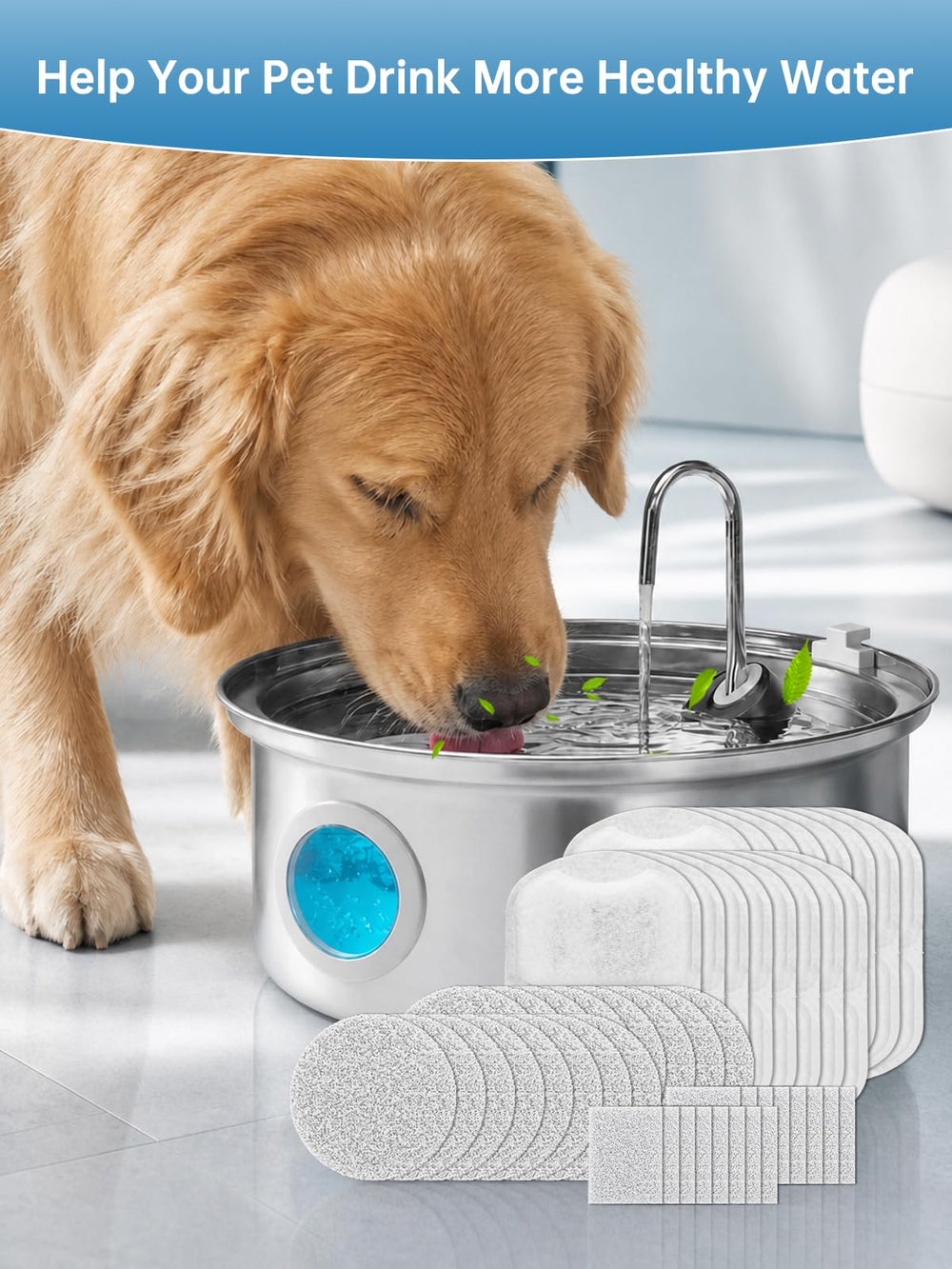 Oaqfvunt mise en situation avec chat et chien buvant eau plus propre