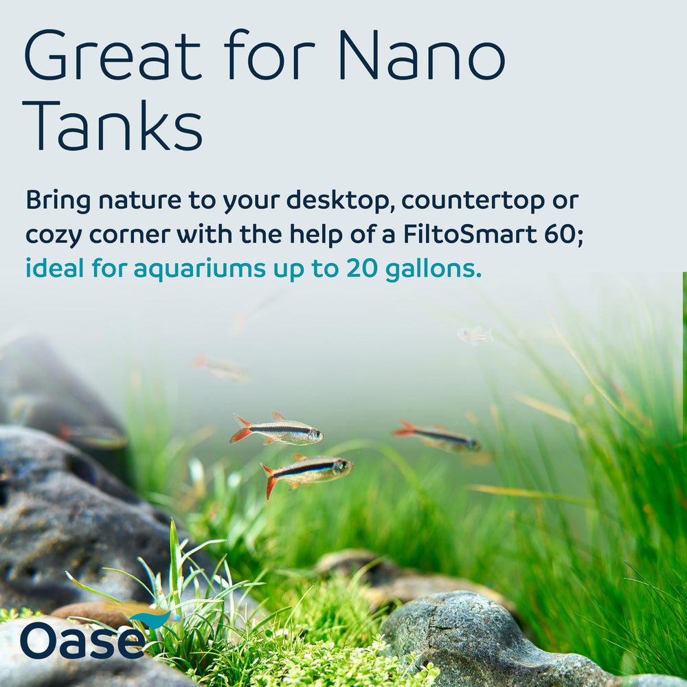 OASE FiltoSmart 60 comparé à un mètre pour visualiser les dimensions compactes