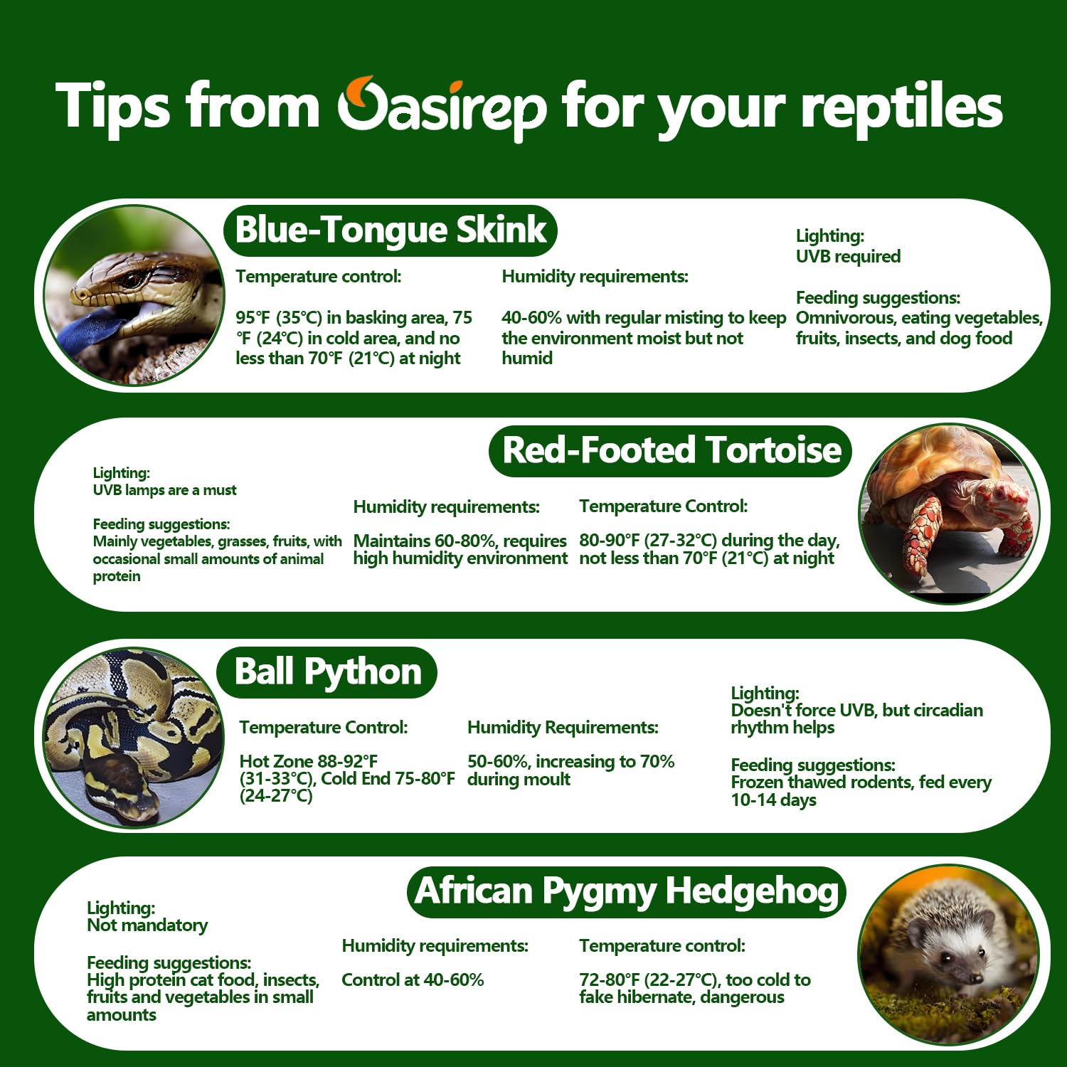 Oasirep affichage montrant °C et °F, bascule rapide par double-tap