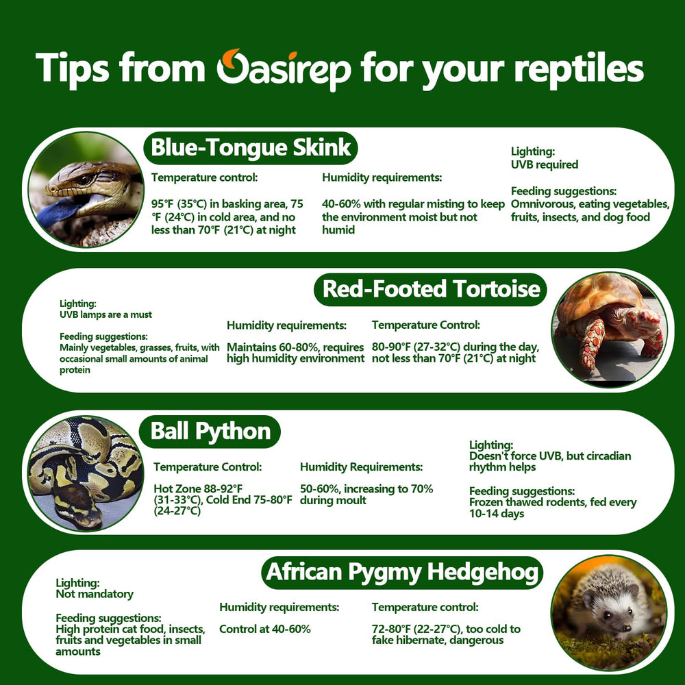 Oasirep affichage montrant °C et °F, bascule rapide par double-tap