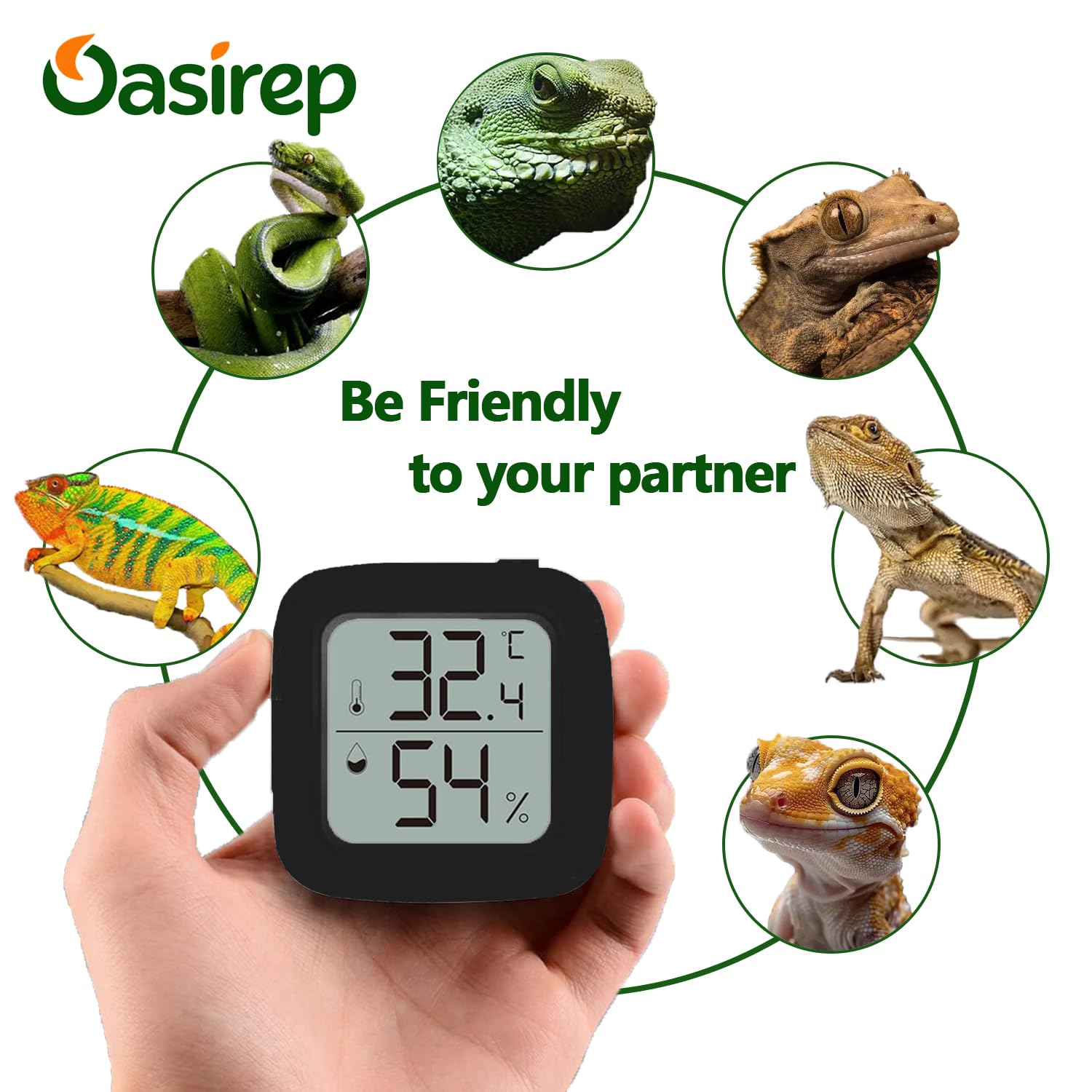 Oasirep utilisé dans un terrarium avec pogona pour contrôle du microclimat