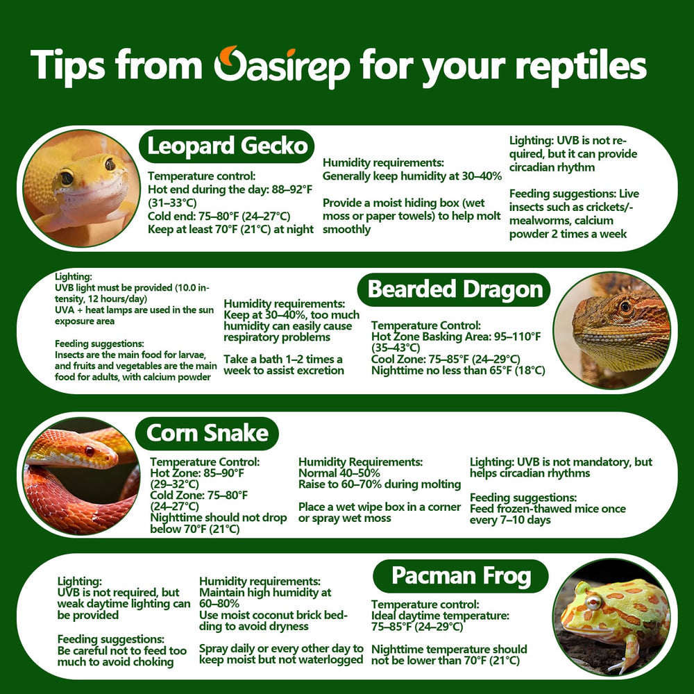 Oasirep compartiment pile CR2032 accessible pour remplacement simple